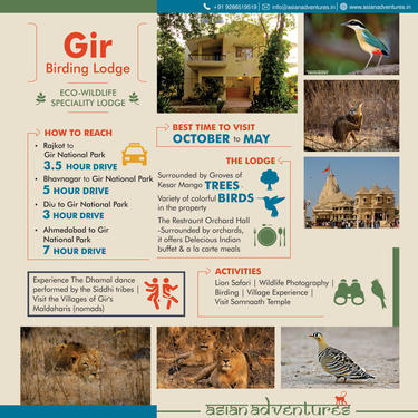 Gir Tour Packages: Unveil the Wild Beauty of Gujarat Gir Tour Packages: Unveil the Wild Beauty of Gujarat